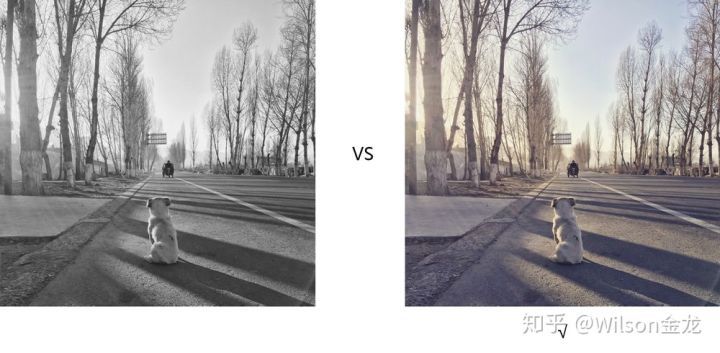 黑白照片变彩色是原来的颜色吗,为什么一点黑白照片就能变成彩色