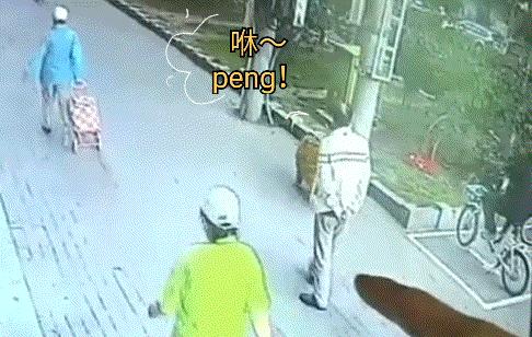 遛狗搞笑图片把主人鞋都追掉,遛狗被猫砸中