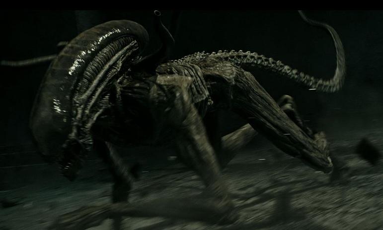 异形到底有多少种形态,异形到底存在吗