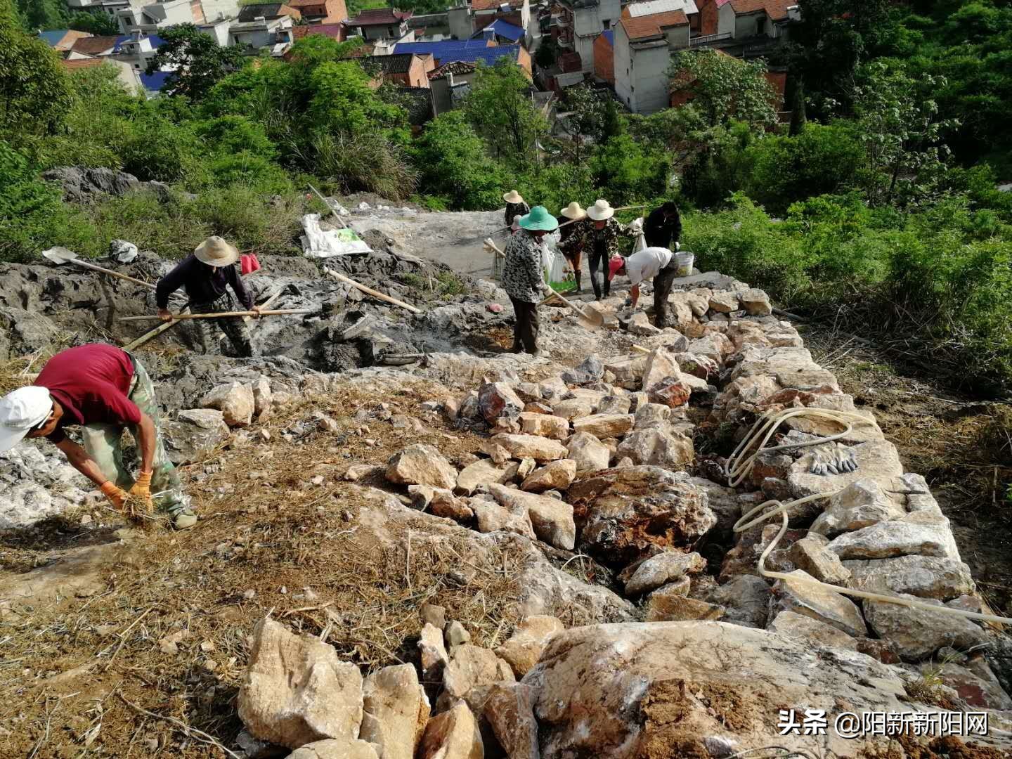 阳新县黄颡口镇发展,阳新县黄颡口镇项目