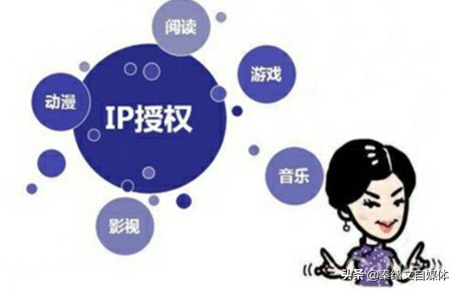 专业性强的自媒体怎么打造个人ip,自媒体ip打造流程是什么