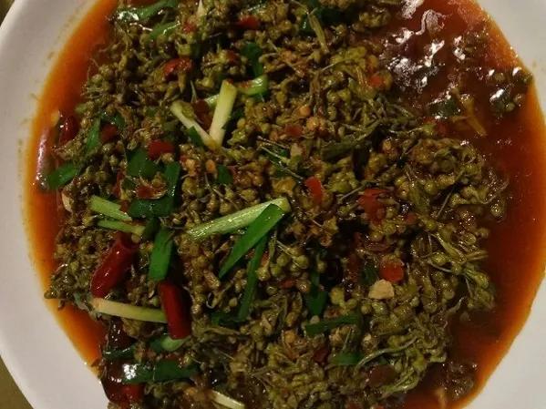 云南猫尾木花吃法,云南可食用的花有哪些