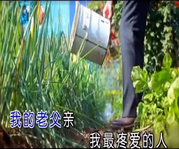 怎么决定胎宝宝的性别,决定宝宝性别的民间方法