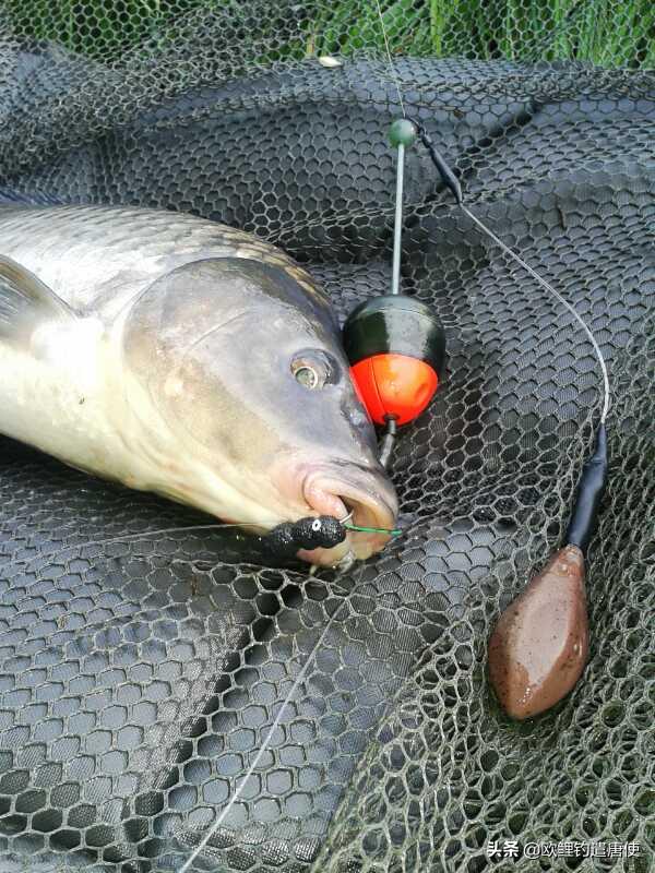 夏季下雨过后钓鱼应如何选择钓位,夏季垂钓这3个钓位上鱼超多