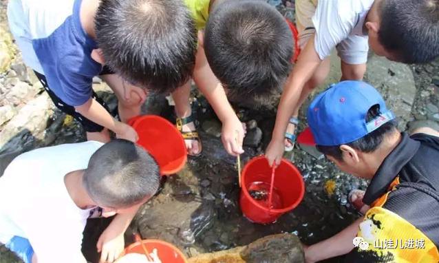 长阳山景美景图片,湖北长阳美景图