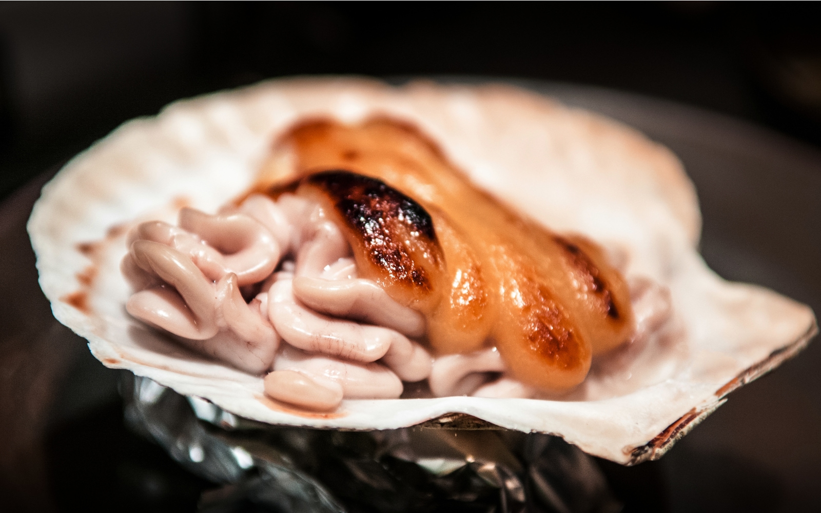 被称为“不可描述”的美味，白子究竟凭什么征服那么多的老饕