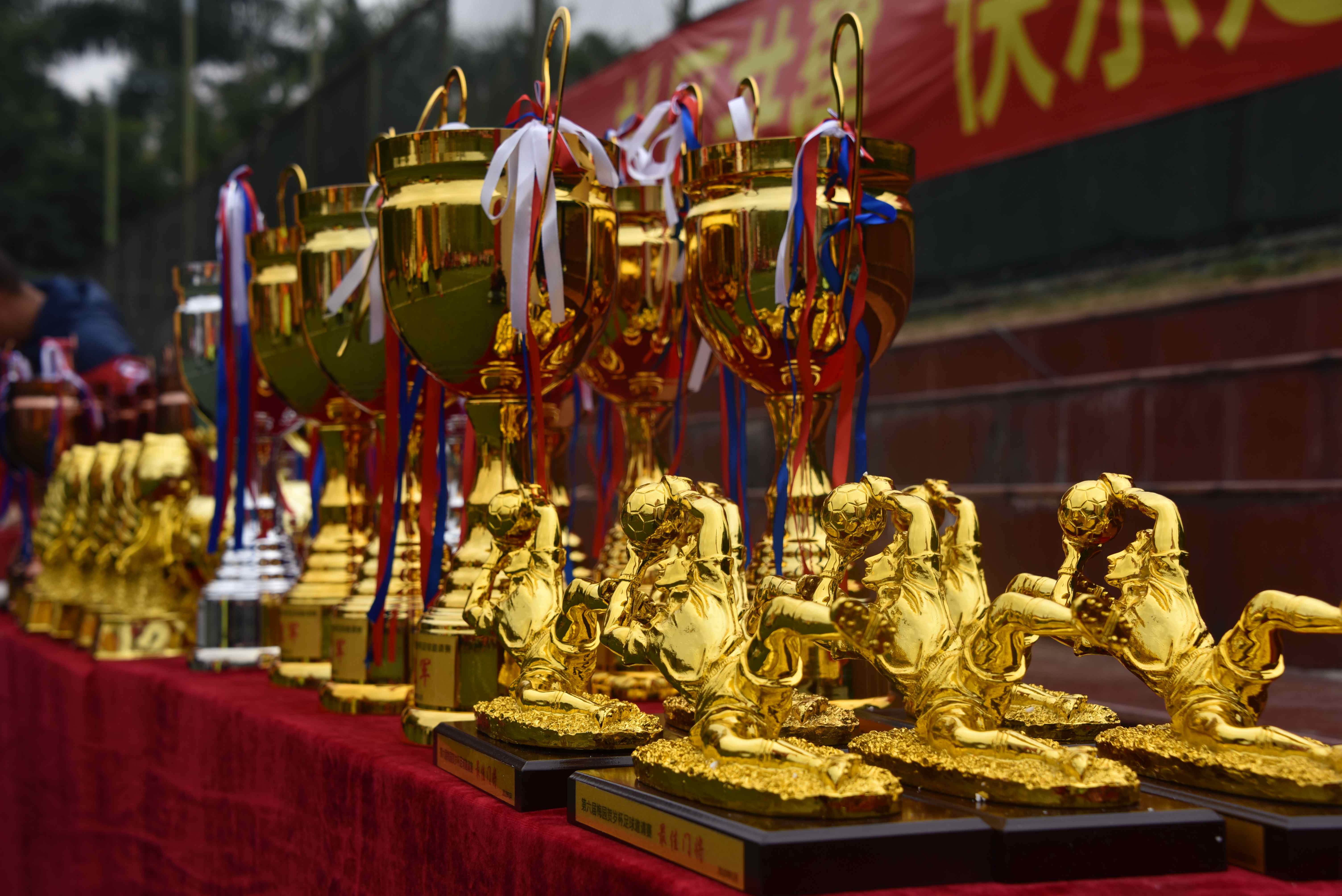 2021第十届新征程足球邀请赛,2024年第三届足球赛迎春贺岁杯