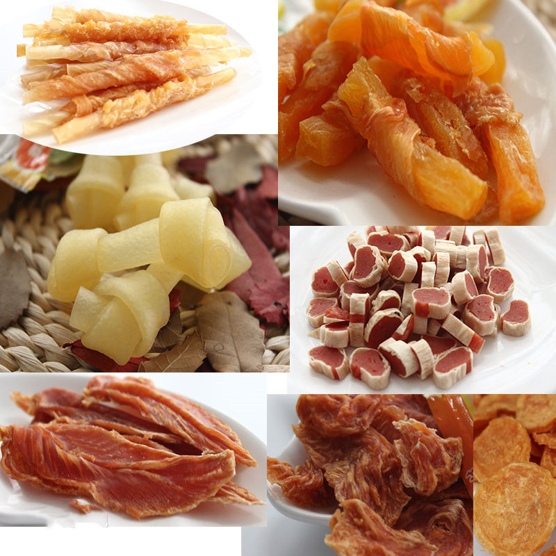 养狗新手入门必备知识,养狗知识大百科入门篇