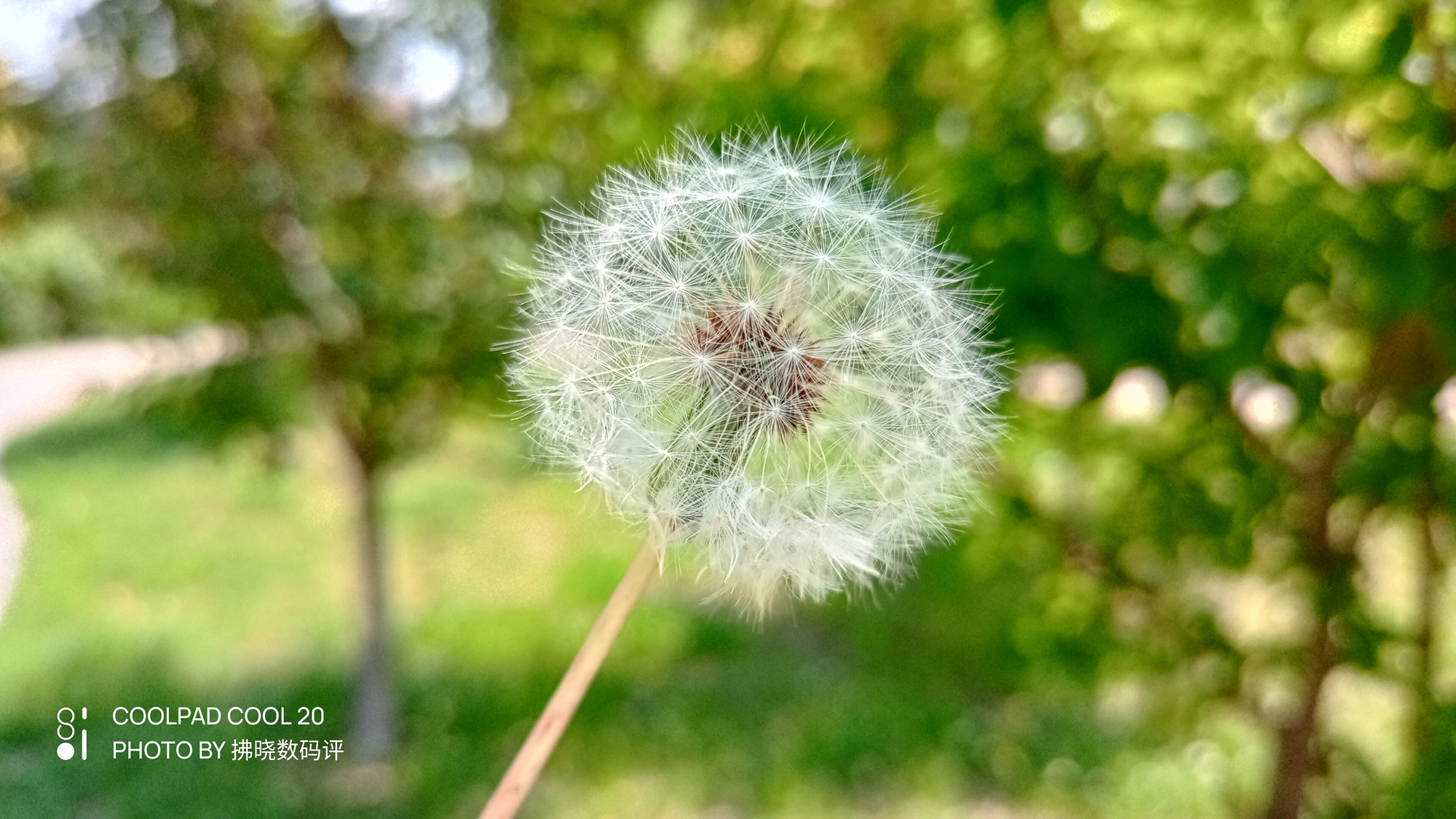 酷派cool20的优缺点,酷派cool20三款应该买哪个最好