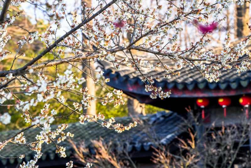 常州恢复开放旅游景点,常州什么时候恢复开放