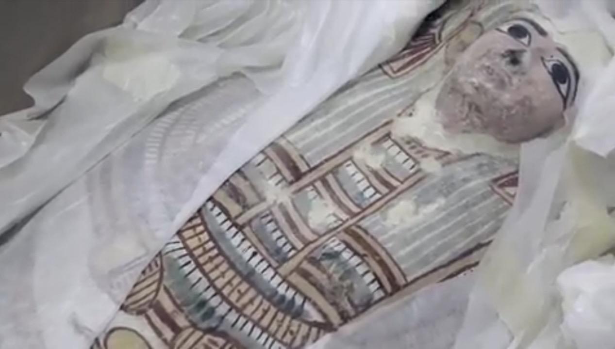 牛肉脂肪蓖麻油蜂蜡松脂，古埃及人真会生活，用这么高级的护发膏