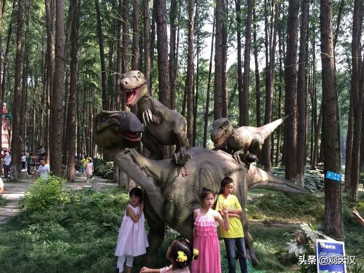 汉中恐龙乐园免费地点,汉中恐龙乐园门票
