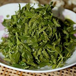 为了替你出气,我们给讨厌的杨柳絮来个“以暴制暴”