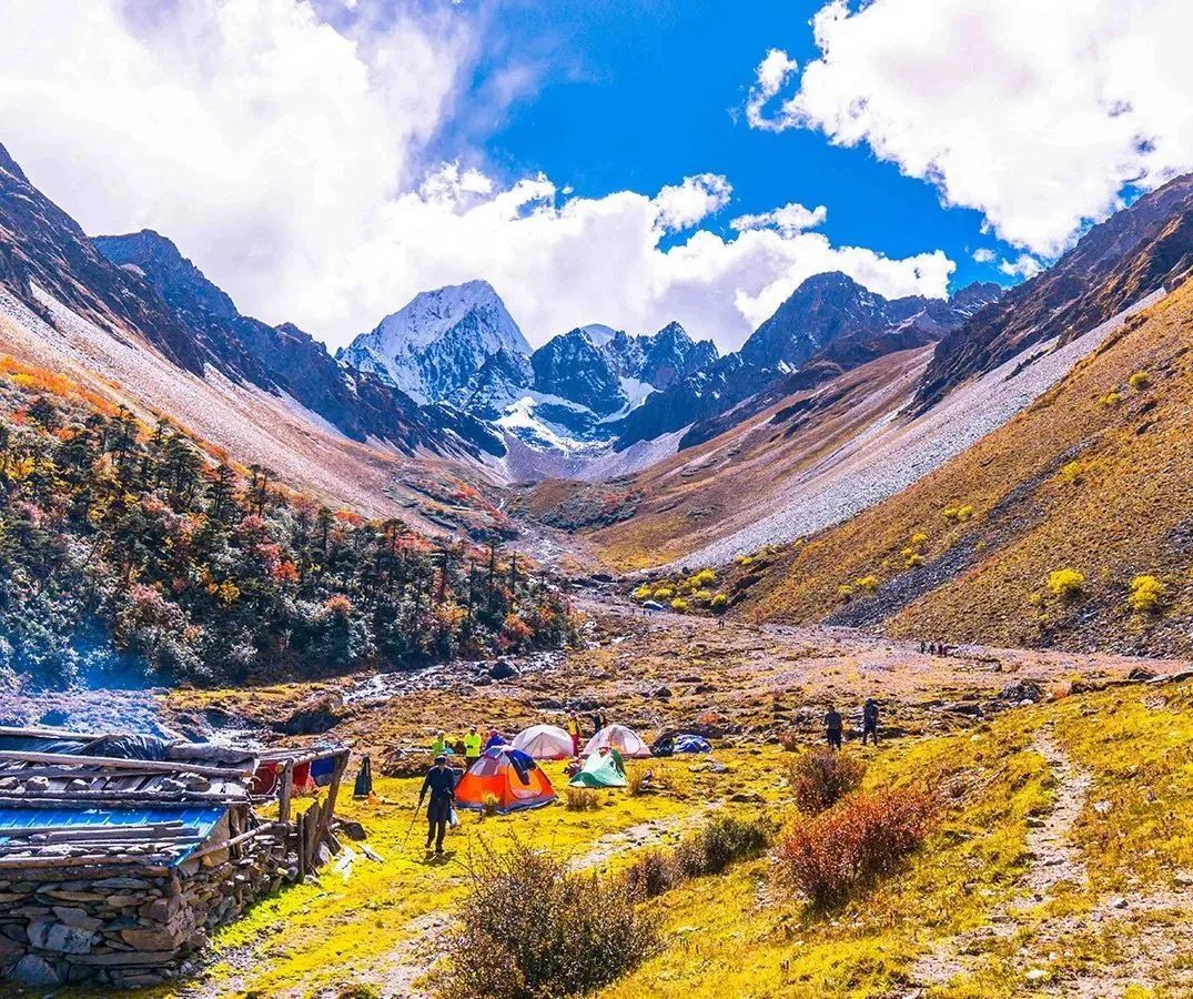 1011月错过它们,等于错过整个秋天!人少清净,随手一拍都是大片