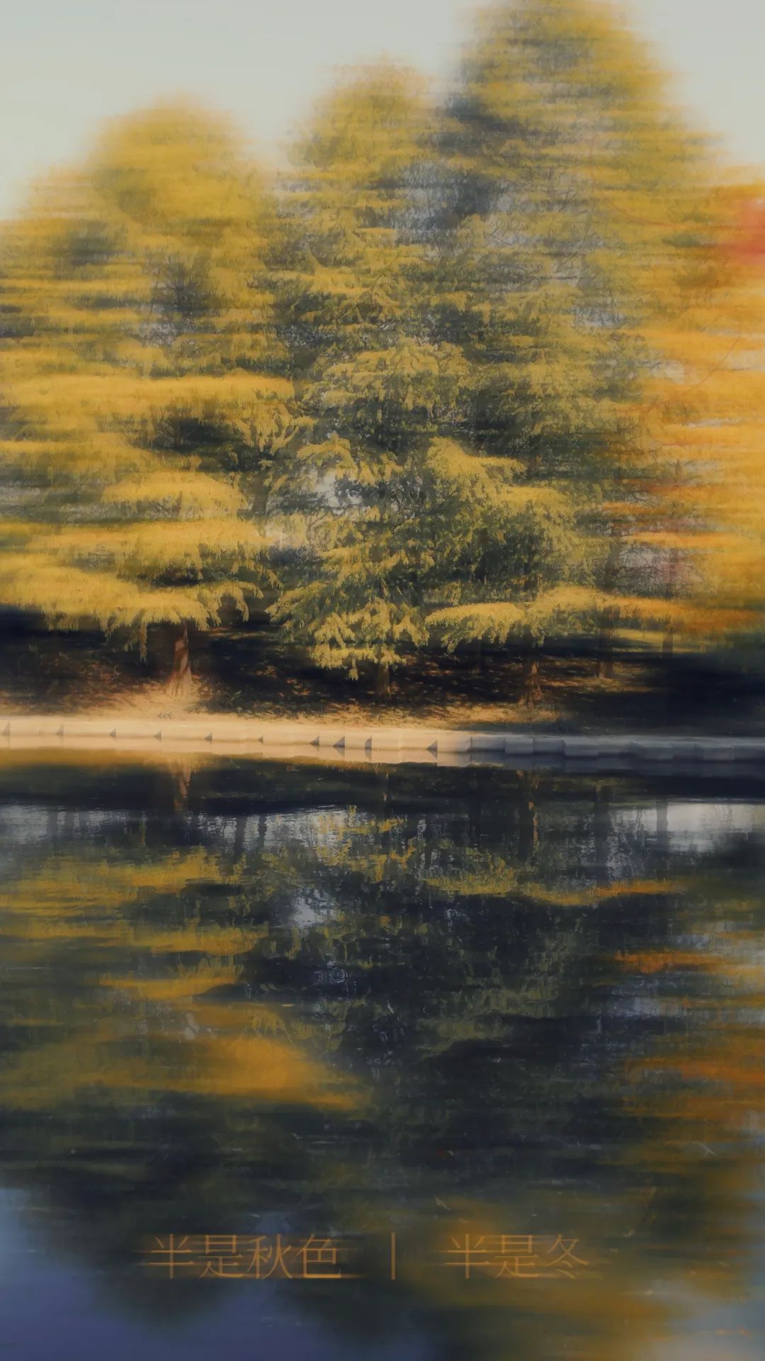 上海最美秋景,上海哪些公园可以拍秋景