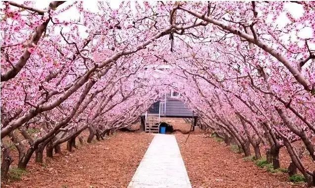 京郊这个美丽的小镇,北京一个适合旅游的小镇