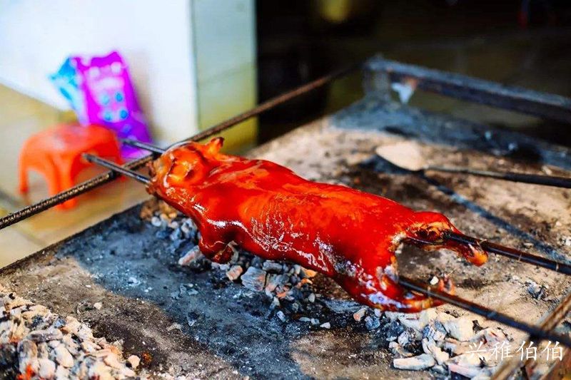 海南哪里适合养老定居,海南哪个市最值得旅游居住