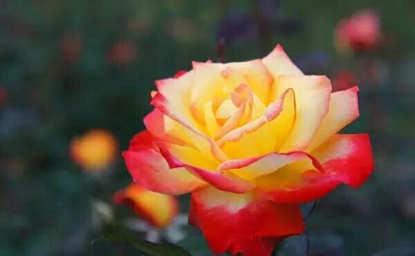 人要吃得苦中苦方为人上人,吃得苦中苦方为人上人的人