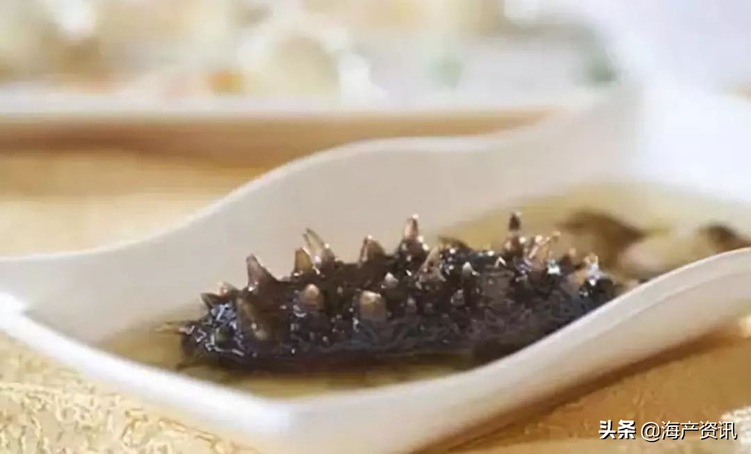 加拿大海参开袋即食,加拿大海参专卖店