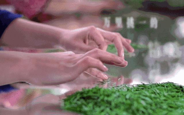 早春时节，与蔡澜论道，入川寻一杯上品绿茶