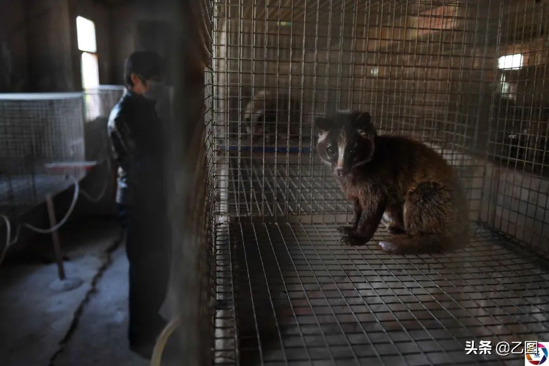 摄影师盘点2020年照片,摄影师用9张照片回顾2020年