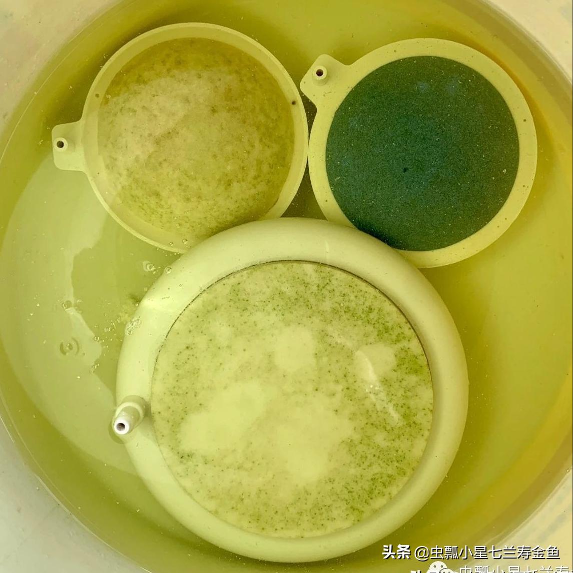 清理气泡石/纳米气盘