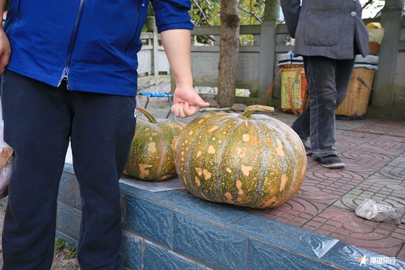 茶马古道重镇旅行,茶马古道旅行