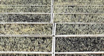 农村青年赚钱,农村青年创业模式