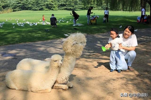 北京紫玉山庄有什么好玩的,紫玉山庄旅游度假