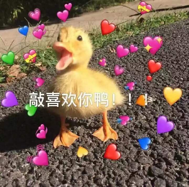 贝德玛卸妆液含酒精吗怎么样,贝德玛卸妆水中性皮肤用哪款