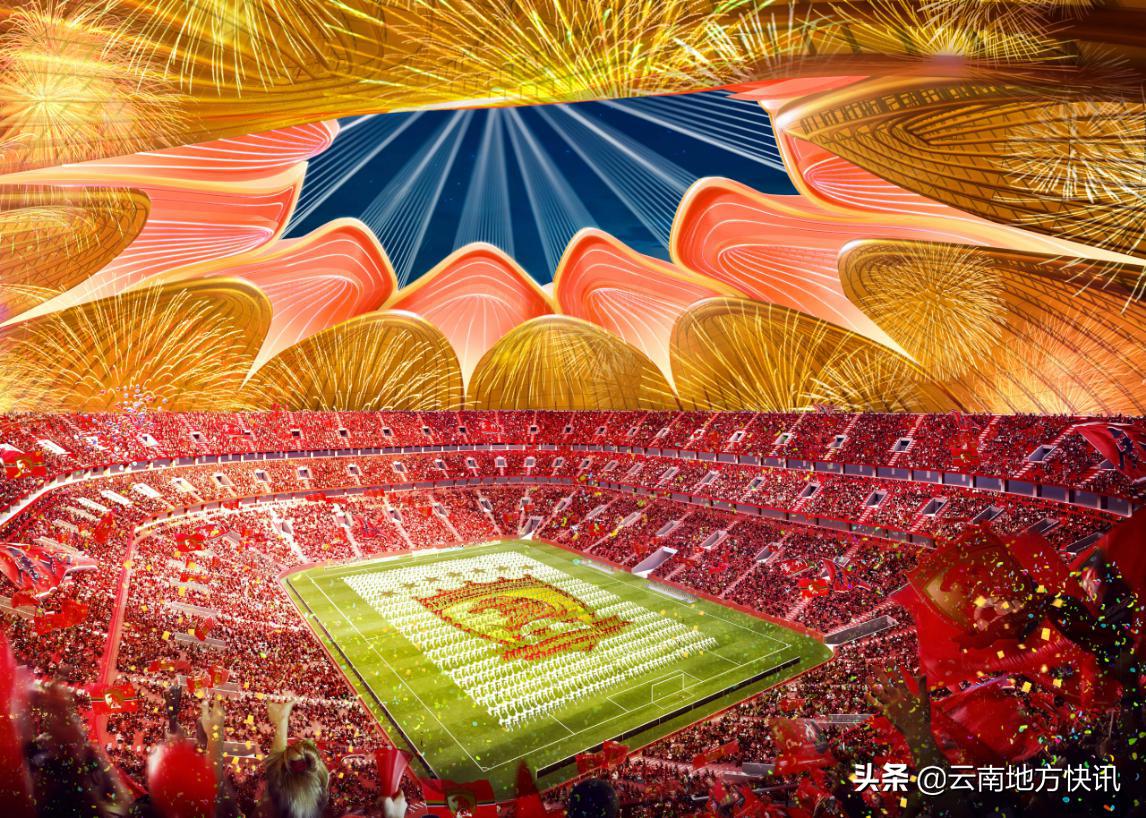 最美荷花争相怒放,最美荷花绽放的整个过程视频