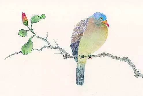 漫画手绘工具,电子漫画初学必备工具