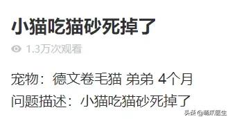 猫突然喜欢咬东西,怎么改掉猫吃猫砂的毛病