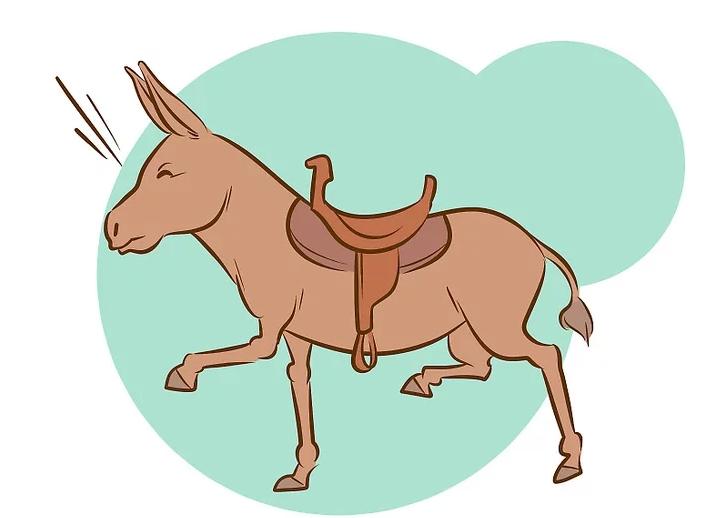 怎么让一头犟驴听话,怎么驯服一头犟驴