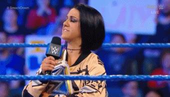 wwesd和raw所有选手,wwesd冠军腰带