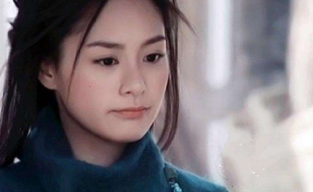 她是飞狐外传真正的主角，冰雪聪明，却因貌丑而得不到爱情