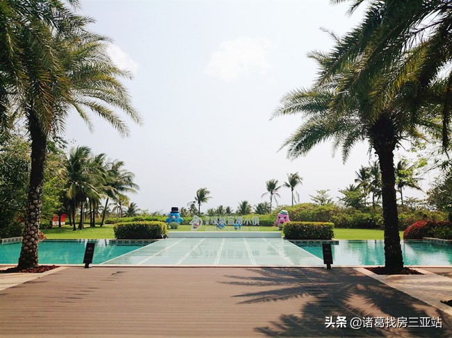 清水湾地产,清水湾从哪里开始止于哪里