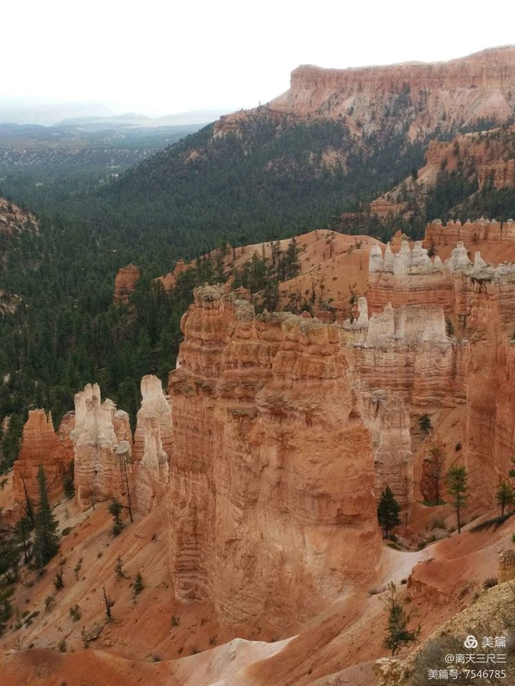 鍖楃編鏋儏闃虫柊,鍖楃編鏋儏鍥剧墖