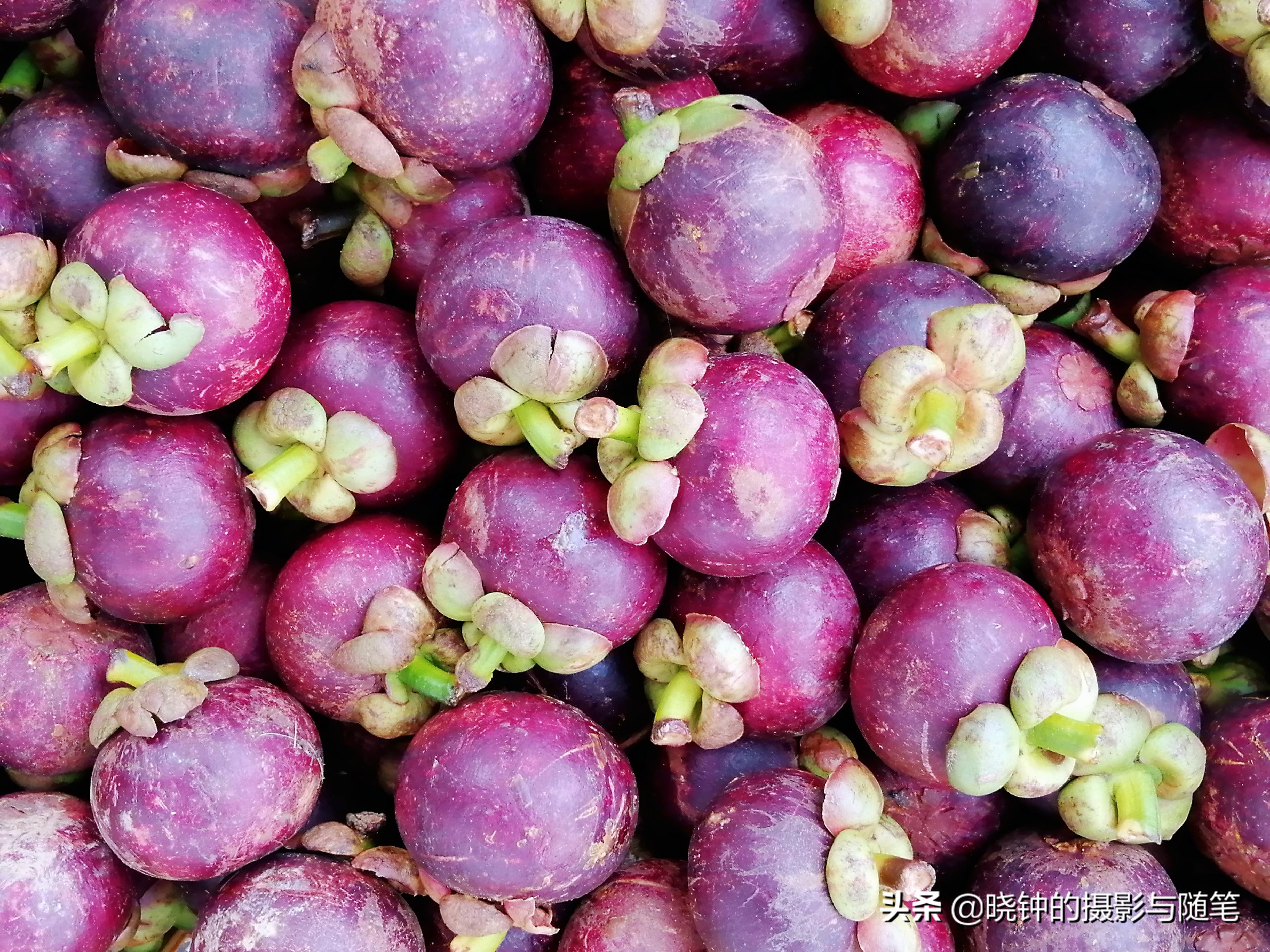 越南岘港特色水果,越南水果有什么好吃的