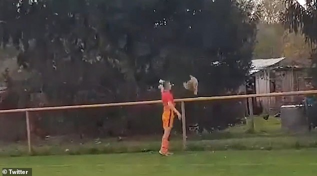 足球脚力最大的球员视频,足球运动员脚力