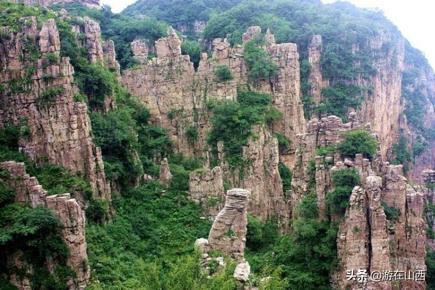 王莽岭景区春节免费游玩攻略,王莽岭五一旅游