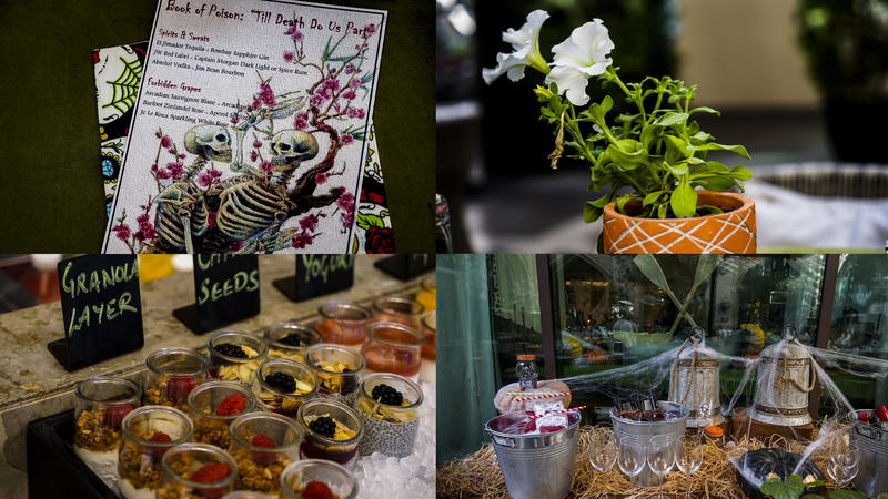 从天空到海洋到大地的视频,从天空到海底绘本