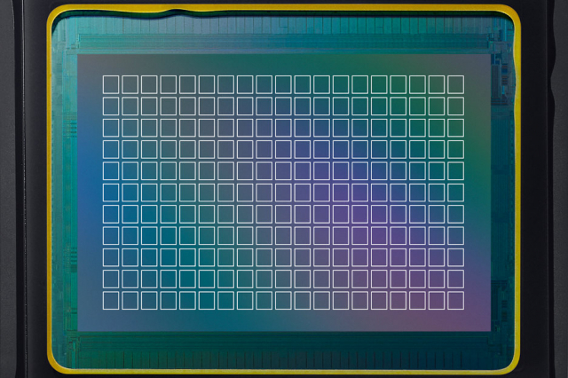尼康Z50深度评测,尼康z50评测打鸟