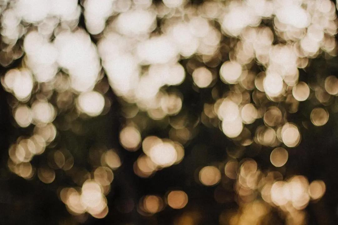 保胎日记100字,保胎日记