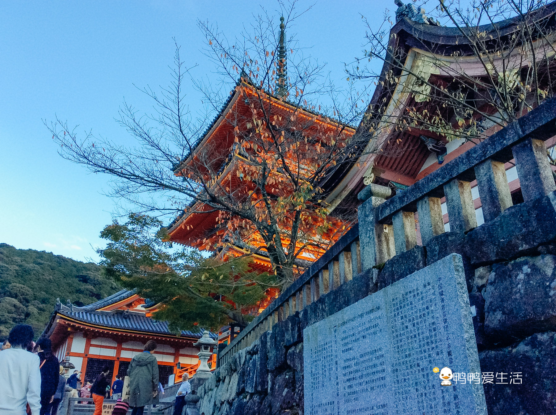 日本京都寺庙视频,日本京都闹市区古老寺庙
