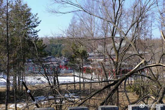 毁林百亩削山挖湖建私人庄园,被毁林建私人庄园