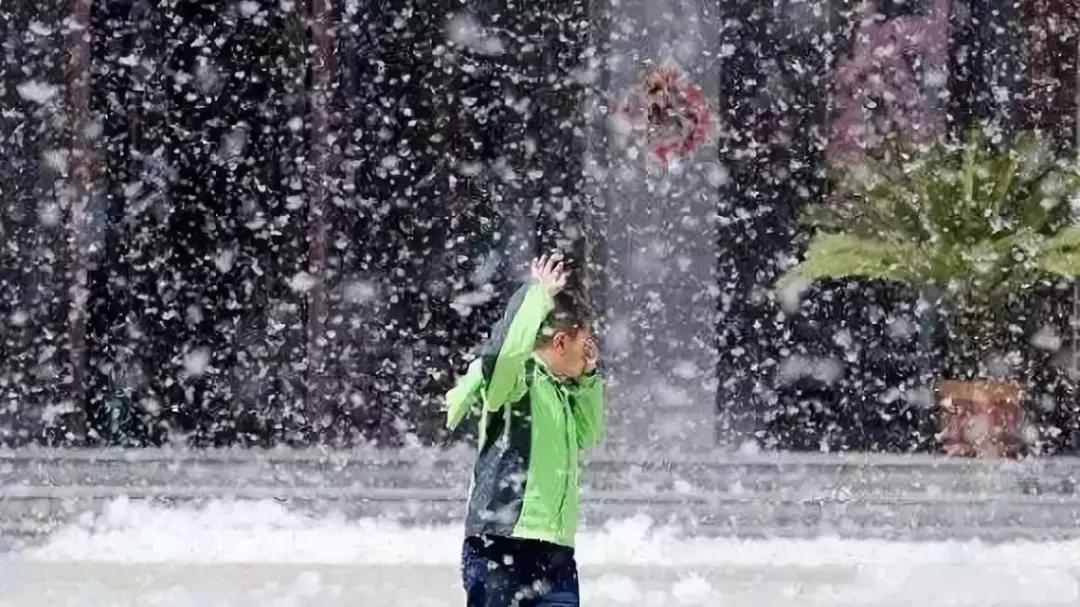 被柳絮困扰,被柳絮搞到崩溃是什么体验