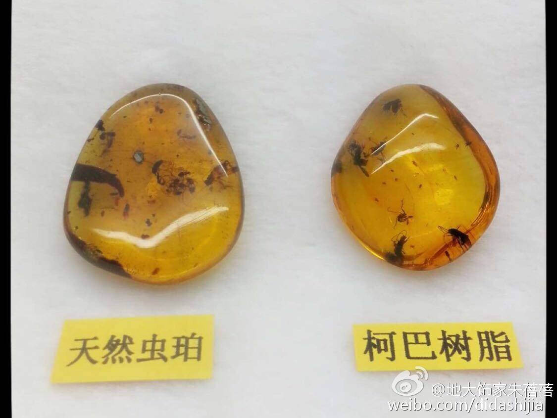 数千万年前琥珀是怎么成形的,琥珀完美封存的古老记忆