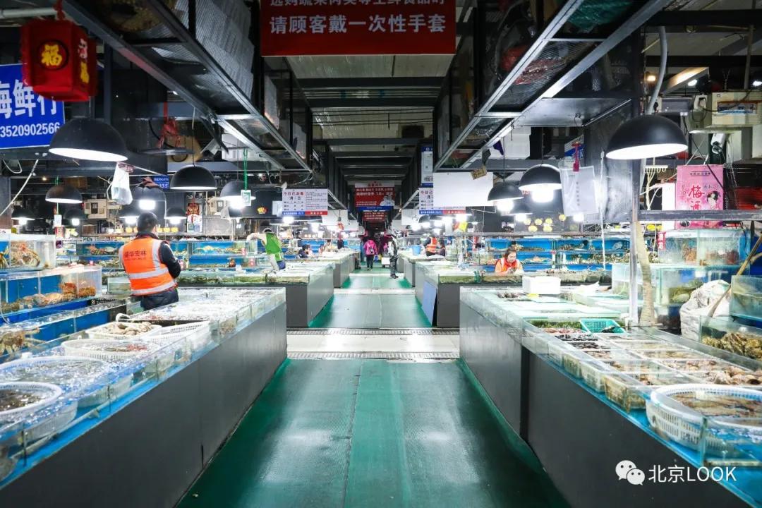 最便宜的北京花市,北京超好逛的花市