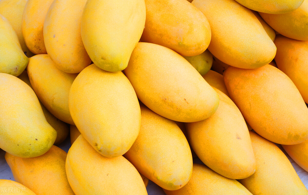 选芒果时，别只知道看大小，牢记“3看1闻1吃”原则，个个香甜